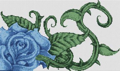 (image for) Blue Rose